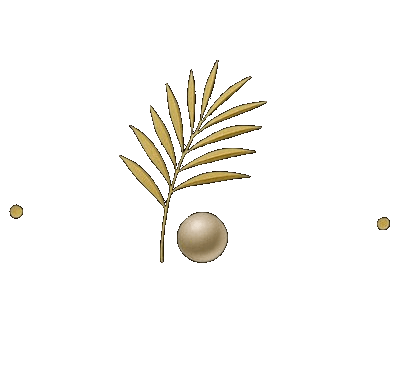 Palm and Pearl Dental